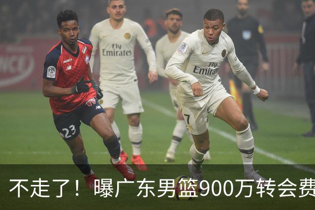不走了！曝广东男篮900万转会费签下昔日状元内线，杜锋拒绝摆烂